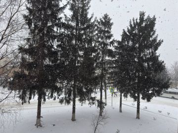 � ������ �����, ������ ����������� �������������� ������ !