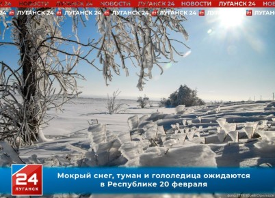 Мокрый снег, туман и гололедица ожидаются в Республике 20 февраля
