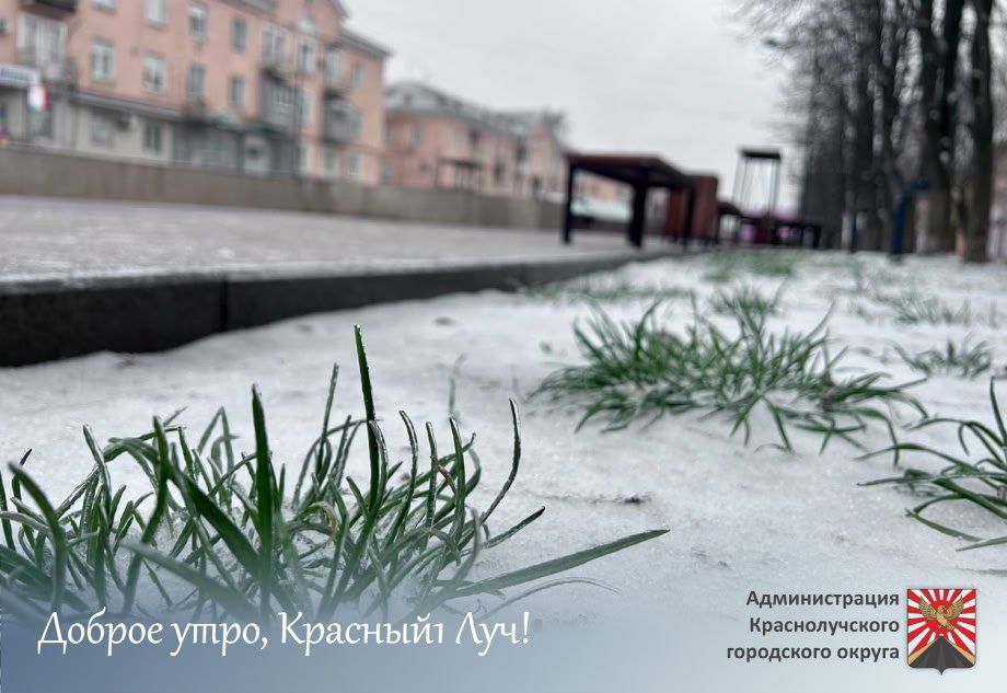 ������ ����, ������������!