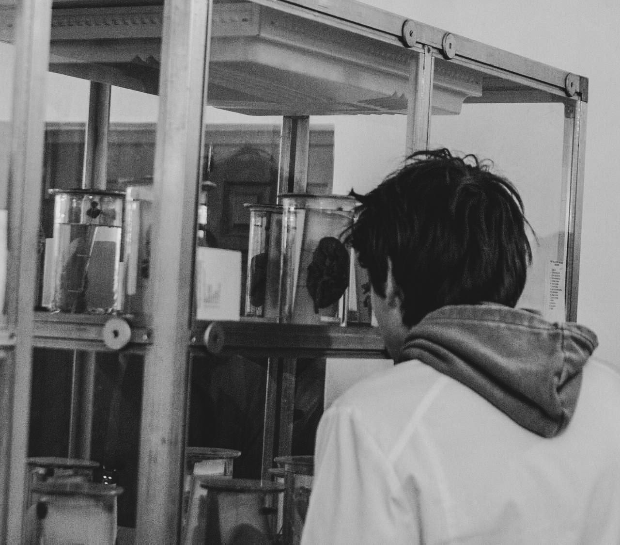 кем ты хочешь стать, когда вырастешь? кем ты хочешь стать, когда вырастешь?