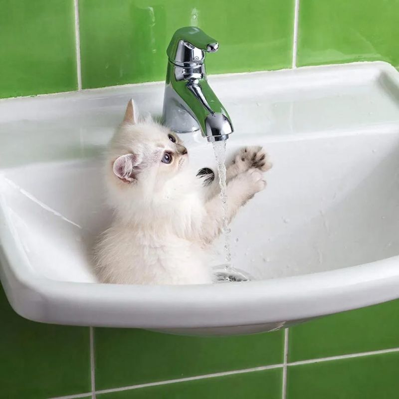 ��������������� ��������� ����������� "�����������" ������� ������, �� ������� 20 ������� �������� ����������� ������ ���� ��-�� ��������� �����