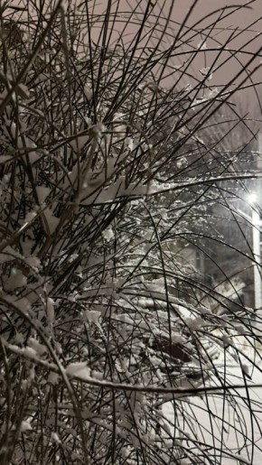 Ой, как красиво за окном. В Луганске настоящая зимняя сказка: за несколько часов выпало около 10 см осадков И да, админ сделал фото ДО комендантского часа