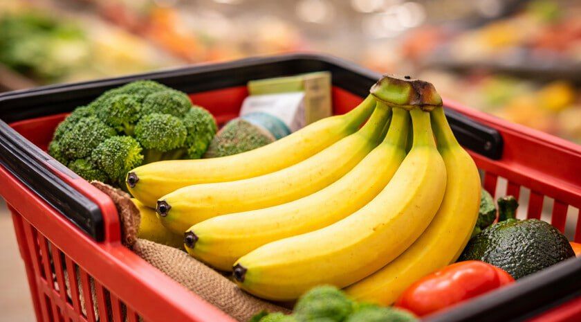 ������ ������� ������� � ���� ������ 14 ��: � ������ ��������� ���� �� ������