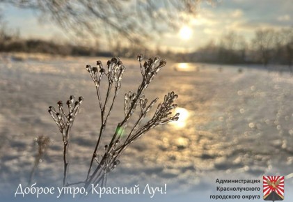 ������ ����, ������������ !