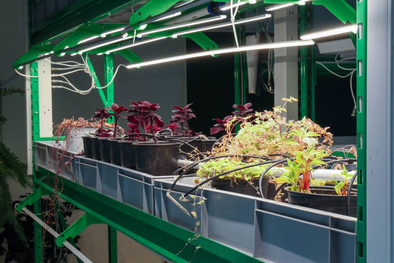 Учителя агроклассов в ЕАО получат дополнительные выплаты Учителя агроклассов в ЕАО получат дополнительные выплаты