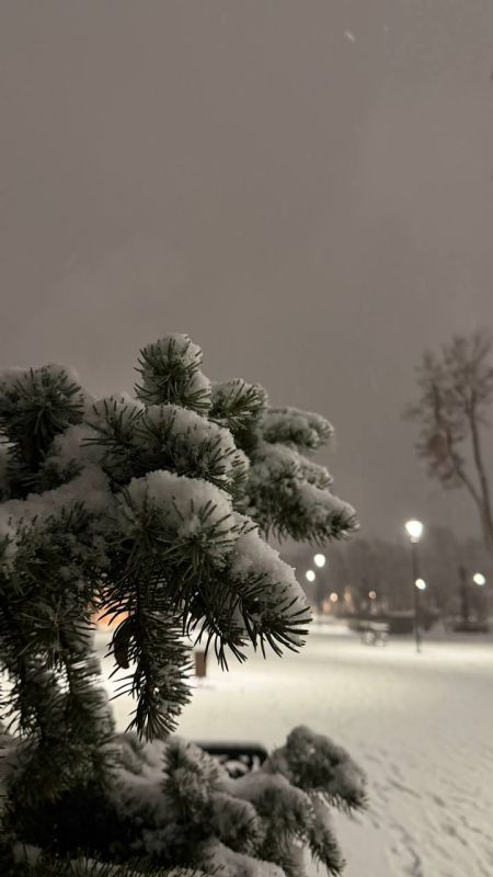 ��������� ������������ 22 ������� � ��� �� 14 �������� ������ ����� �� ���� 2 �������� ����, ������� ��������� ����� � �������