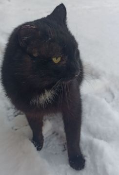 22 ������� �� ���������� ��������� �������� ���������� �������������� ���������� ����������