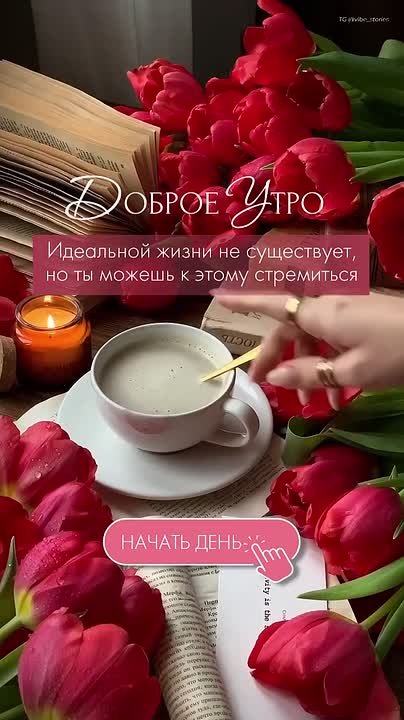 С добрым зимним утром, жители Новоайдарского округа! Наслаждайтесь выходными! Отличного всем настроения!