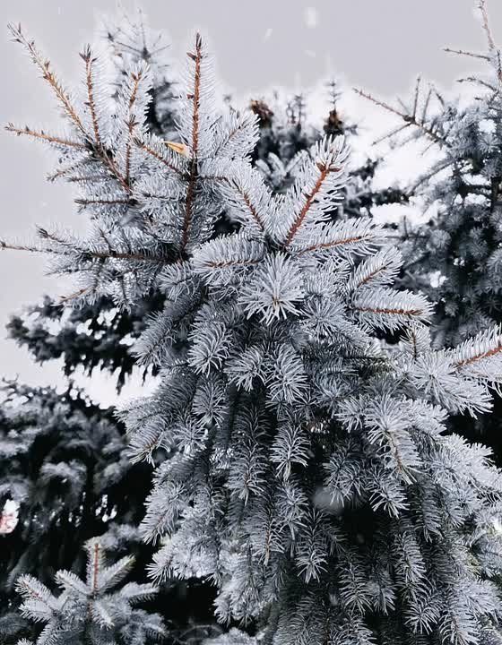 � ������ �����, �������!. ������ ���� �������� ���, ����������� ���������� � �������� ��������! @agklnr #�������