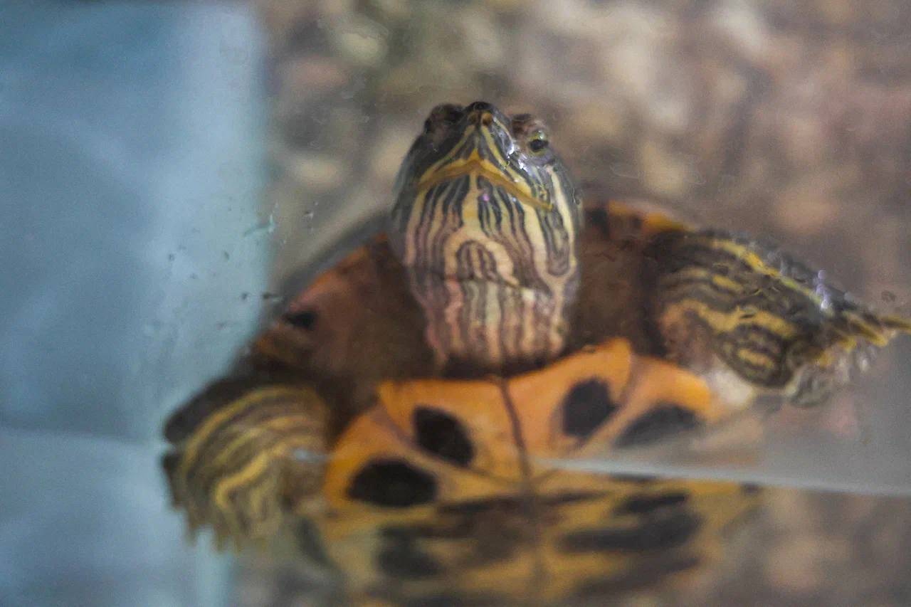 Учителя агроклассов в ЕАО получат дополнительные выплаты Учителя агроклассов в ЕАО получат дополнительные выплаты