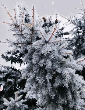 С добрым утром, Кировск!. Желаем всем хорошего дня, позитивного настроения и отличных выходных! @agklnr #Кировск