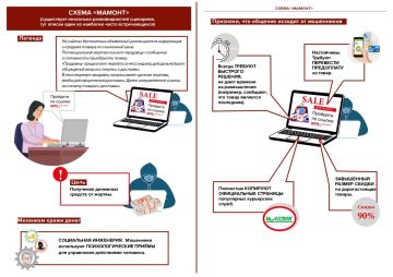«Охота на Мамонта» – как не стать жертвой мошенников?