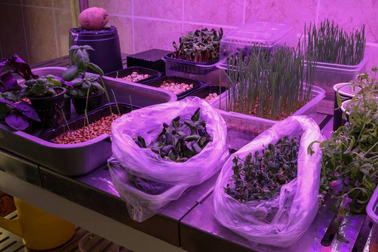 Учителя агроклассов в ЕАО получат дополнительные выплаты Учителя агроклассов в ЕАО получат дополнительные выплаты