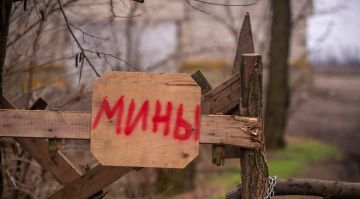 Огромные площади в ЛНР остаются заминированными, обезвреживание взрывоопасных предметов ведется в плановом порядке