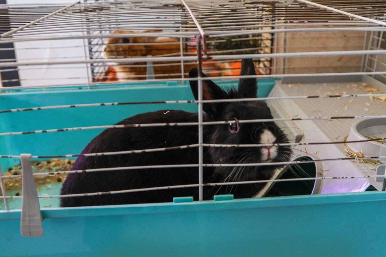 Учителя агроклассов в ЕАО получат дополнительные выплаты Учителя агроклассов в ЕАО получат дополнительные выплаты