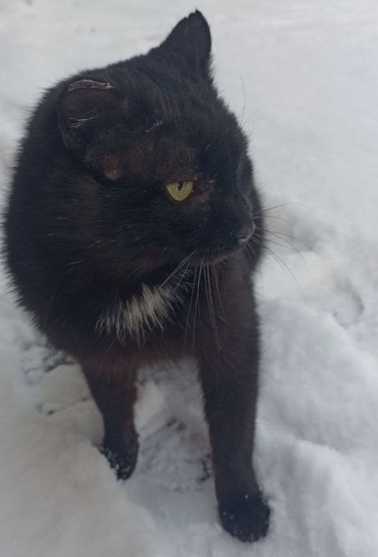 22 ������� �� ���������� ��������� �������� ���������� �������������� ���������� ����������