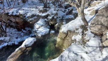 ������ �� ����� ����������� ������