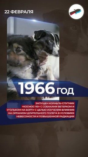 ������� ��������� �� ��� ������ 22 ��� � ������� � �������� ����������� ��������� ����� ���������� � �������� �����������