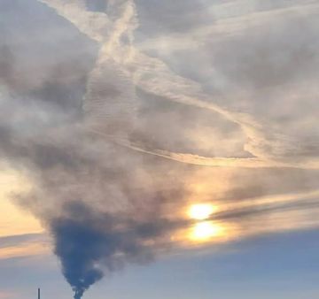 ������ ����� ���� �������� �������