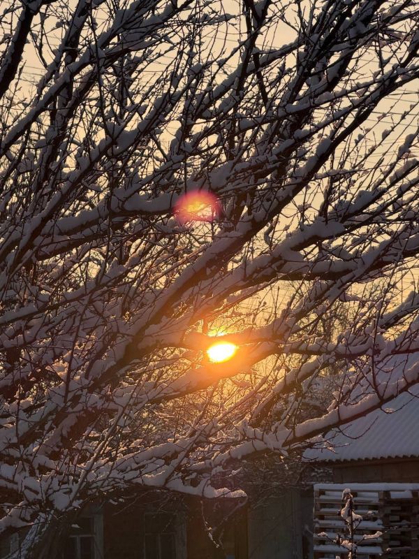 ��������� ������������ 23 ������� � ��� �� 14 �������� ������ ����� �� ���� 2 �������� ���� � �������