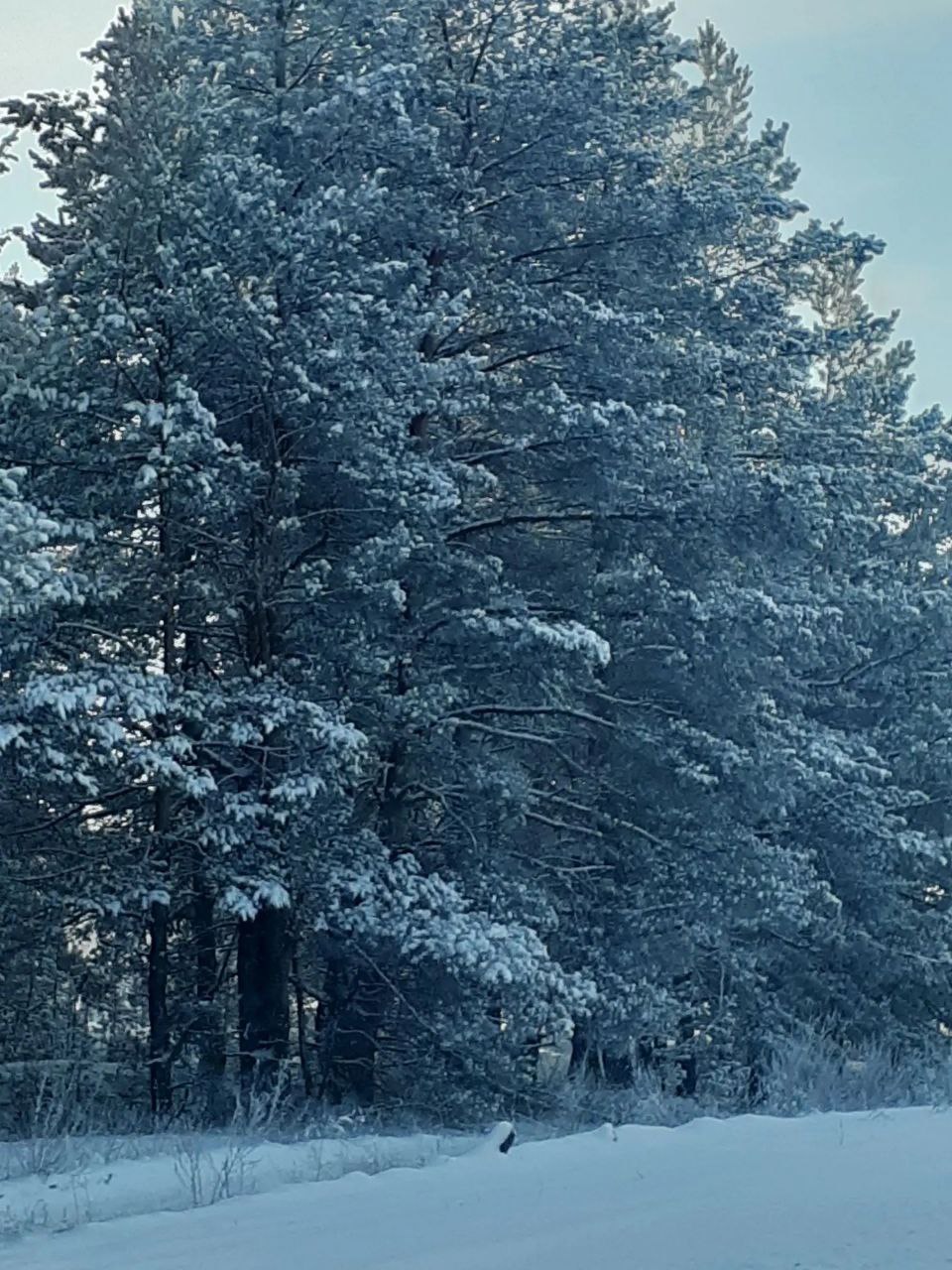 С добрым воскресным утром, 22 февраля! С добрым воскресным утром, 22 февраля!
