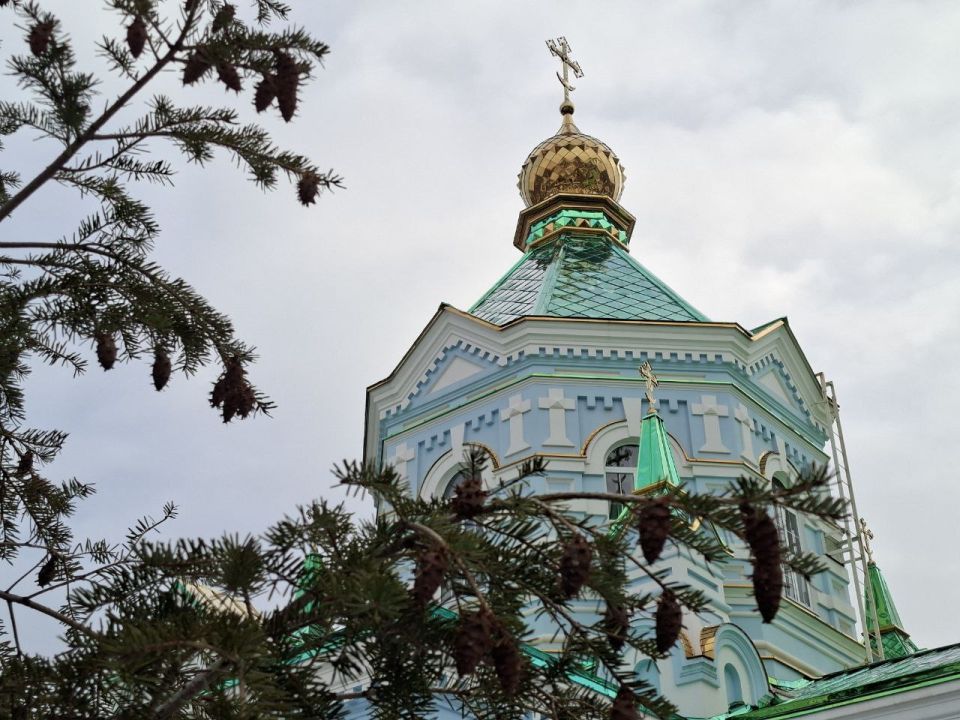 ������ ����, ��������!. ������� ��������� ����������� � ����, ����� ����� �������� ���� ����� � ��������� �������