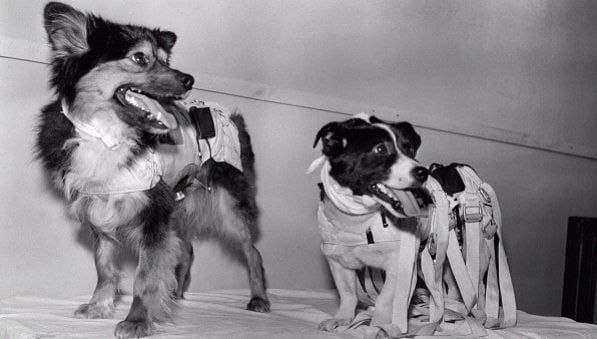 Константин Бутримов: февраля - день в истории России Константин Бутримов: февраля - день в истории России