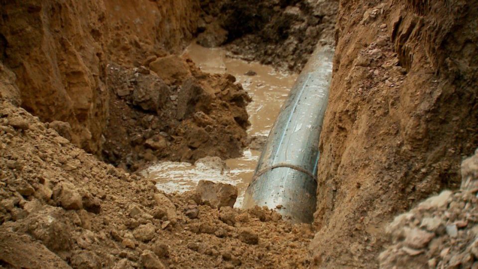 � 2024 � 2025 ���� ������� � ��������� ������� ������� � ������� 5 ������� �������� ������������� (����� ������������ � 8 ����������)