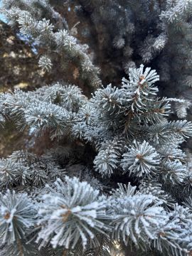 � ������ �����, ������ ����������� �������������� ������ !