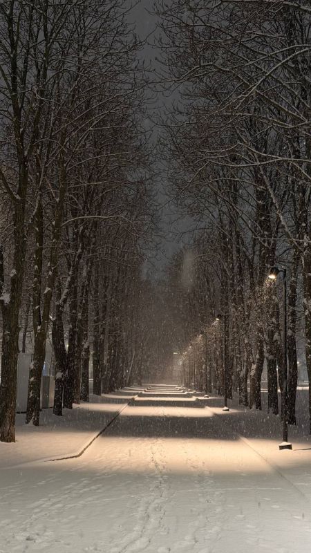 ��������� ������������ 24 ������� � ��� �� ����� 8 �������� ����� �� ���� 5 �������� ����, ������� ��������� ������ ����, �����, ����������