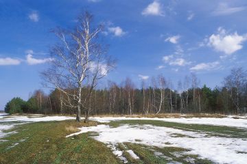 ������ ����!. � ����������� ���� ��������� ���������!