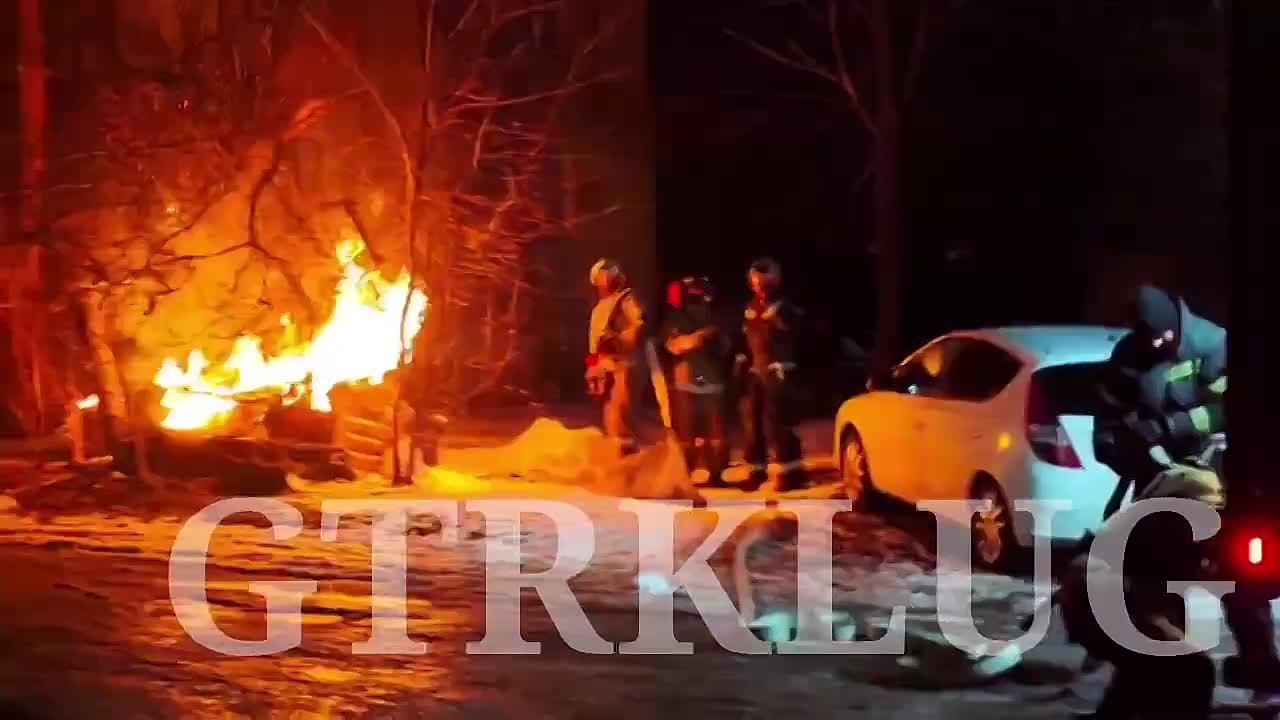 Ночной кошмар для бездомных собак в Луганске