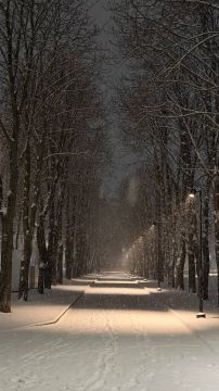 ��������� ������������ 24 ������� � ��� �� ����� 8 �������� ����� �� ���� 5 �������� ����, ������� ��������� ������ ����, �����, ����������