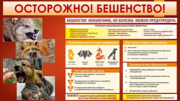 ���������! ���������. ��������� � ��� ����������� �������� �������, ����������������� ������� ���������� ������� ������� � ���������������, ��� �������, ����������� �������