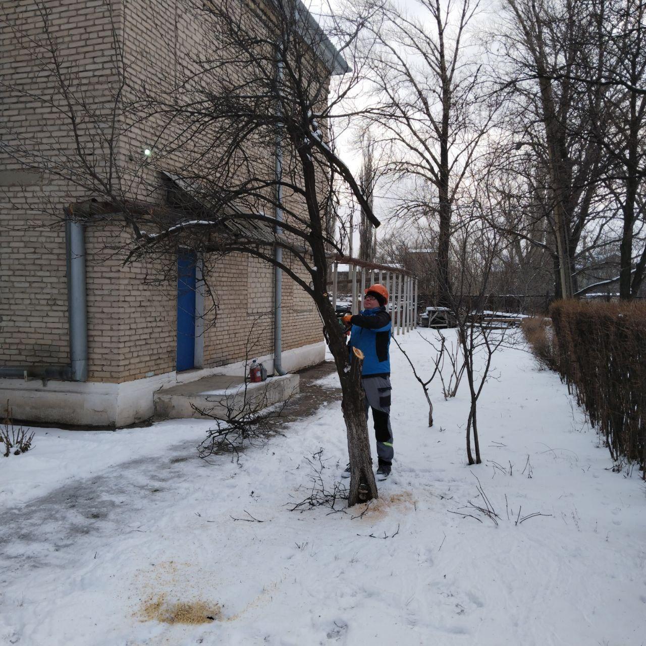 Бригада из Удмуртии провела санитарную опиловку деревьев вблизи детского сада «Росинка» посёлка Белореченский Бригада из Удмуртии провела санитарную опиловку деревьев вблизи детского сада «Росинка» посёлка Белореченский