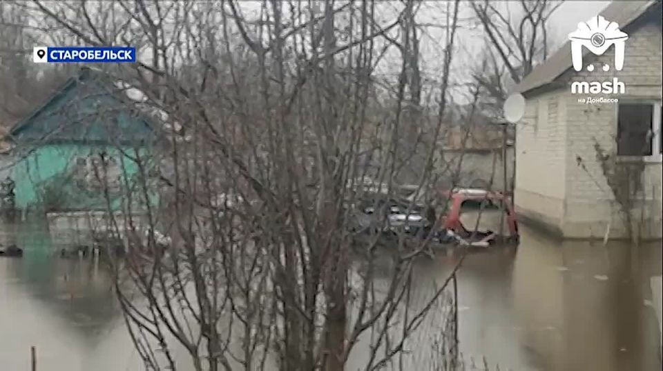 ������� ���� �������� � ������������ � �������� ����, ���� � ������� ����