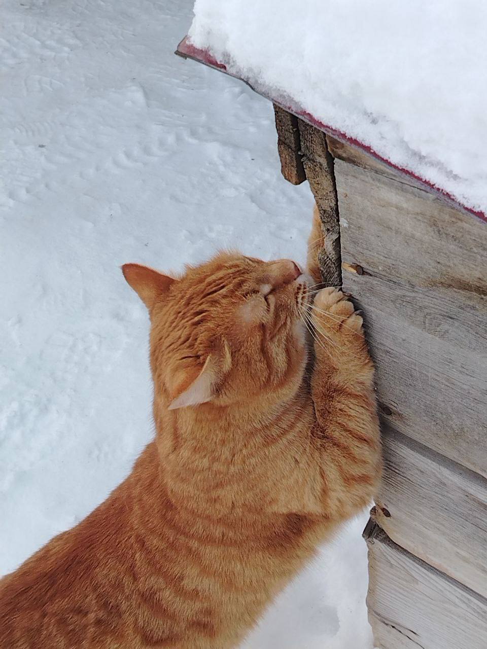 25 февраля на территории Луганской Народной Республики будет облачно с прояснениями