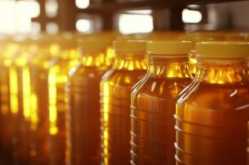 ������ ��������: ������������ ������ ��� ��� - ��������� ����������� �������������