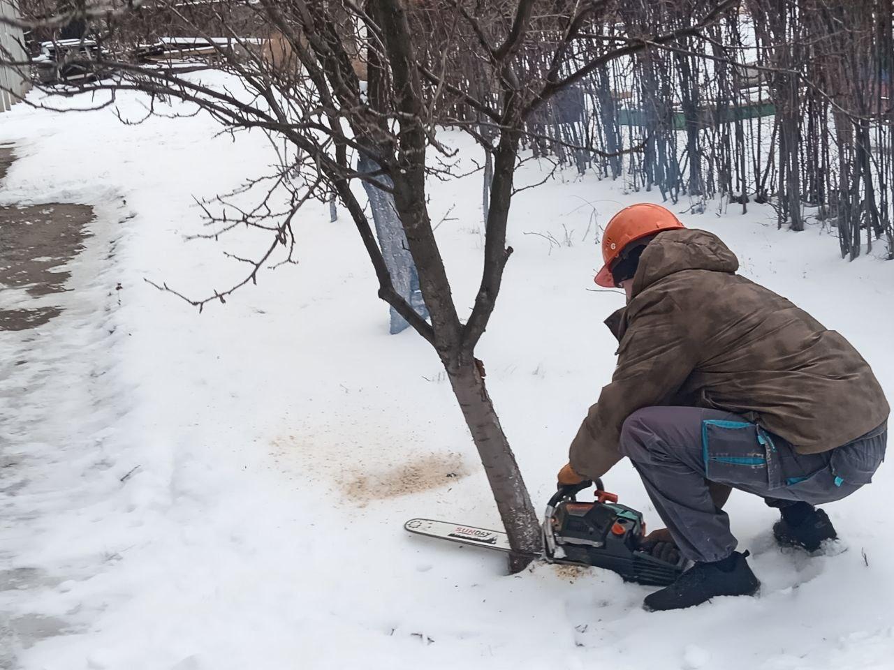 Бригада из Удмуртии провела санитарную опиловку деревьев вблизи детского сада «Росинка» посёлка Белореченский Бригада из Удмуртии провела санитарную опиловку деревьев вблизи детского сада «Росинка» посёлка Белореченский