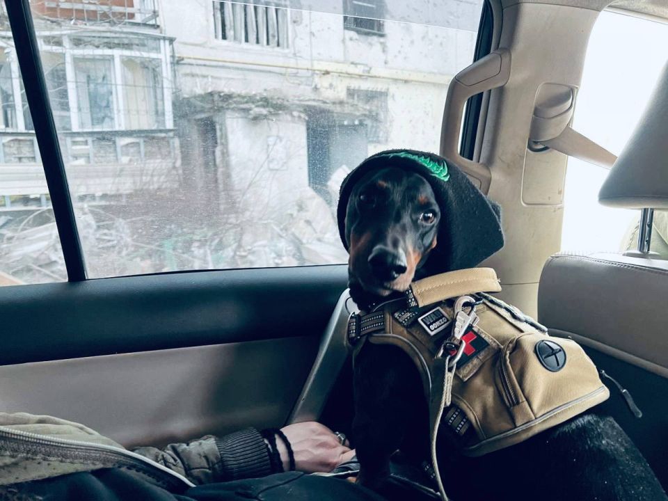 ������� � ��������� ������ ��� ����� �10 ������� � ����� � ������