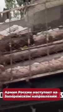 ������� � �������:. 00:03 ���������������� ����� 27 ���