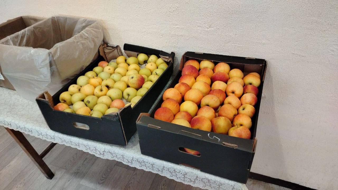 Светлана Гизай: #ПОМОЩЬФРОНТУ. В День защитника Отечества поздравила наших отважных бойцов, которые сейчас находятся на лечении в госпитале Светлана Гизай: #ПОМОЩЬФРОНТУ. В День защитника Отечества поздравила наших отважных бойцов, которые сейчас находятся на лечении в госпитале