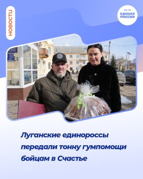 Луганские единороссы передали тонну гумпомощи бойцам в Счастье