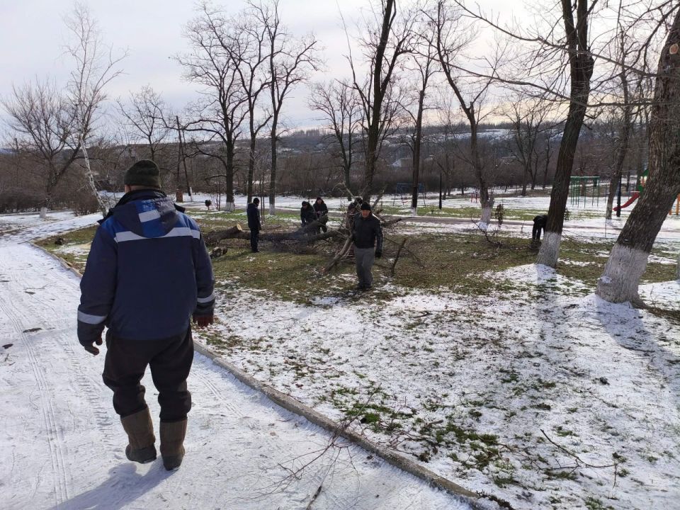 ��������� ��� ������� ���� ������� ������������ � ������� ���������