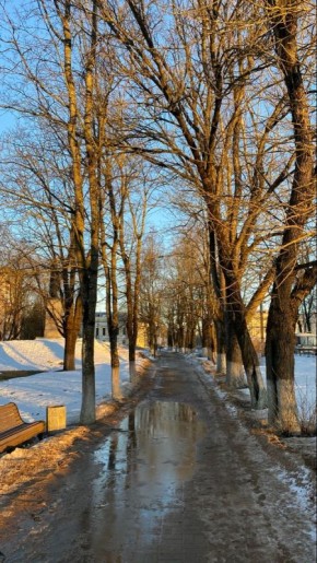 Доброе утро! Прогноз погоды на вторник, 24 февраля