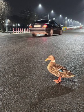 �������� ������ ��������. ��� ����� ����� ������ ���������� ����� ������, ����� � �������� � �������� ���� ����������! � ���� ���� �������, ��� ��� �������!