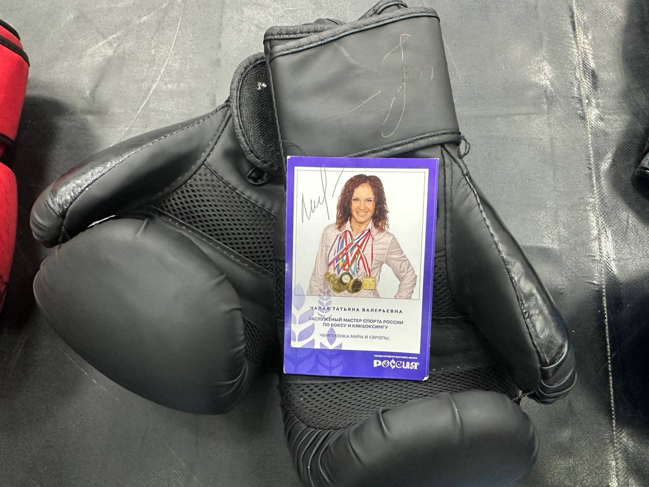 Звезды спорта посетили Краснодонскую спортивную школу с подарками и напутствиями Звезды спорта посетили Краснодонскую спортивную школу с подарками и напутствиями