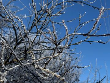 � ������ �����, ������ ����������� �������������� ������ !