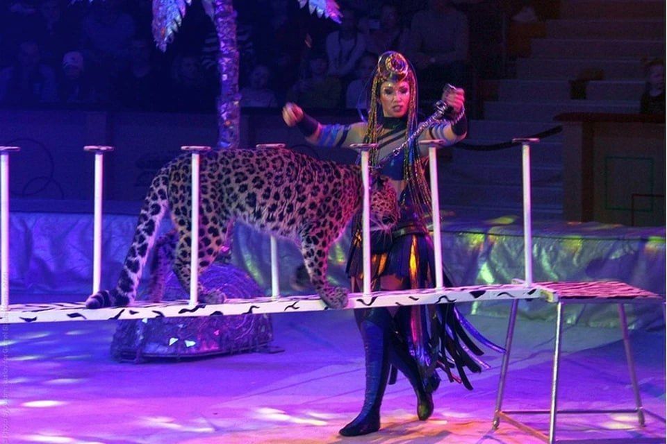 ����� �������� �� ������: � ������� ��������� ���� ����� ����