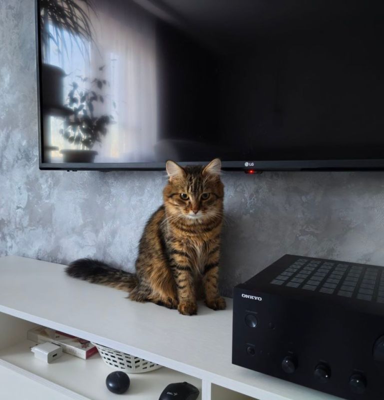 26 ������� �� ���������� ��������� �������� ���������� ����� ������� � ������������